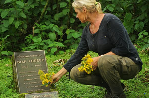 Dian Foseey-tombstone