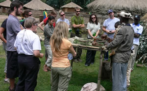 gorilla solution lodge